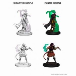 D&D Nolzur's Marvelous Μινιατούρες - 2x Tiefling Female Sorceror