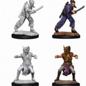 D&D Nolzur's Marvelous Miniatures - 2x Male Human Monk