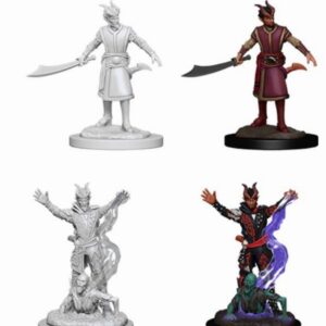 D&D Nolzur's Marvelous Miniatures - 2x Male Tiefling Warlock