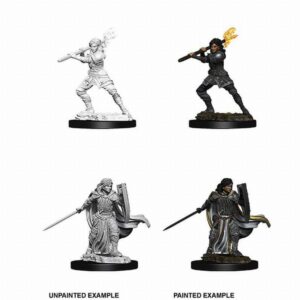 D&D Nolzur's Marvelous Miniatures - 2x Female Human Paladin