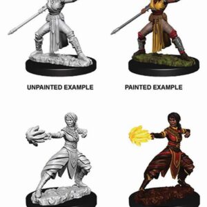 D&D Nolzur's Marvelous Miniatures - 2x Female Half-Elf Monk