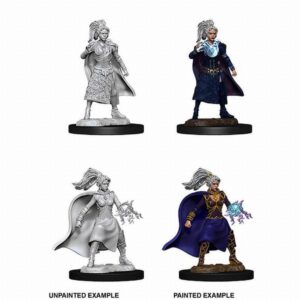 D&D Nolzur's Marvelous Miniatures - 2x Female Human Sorcerer