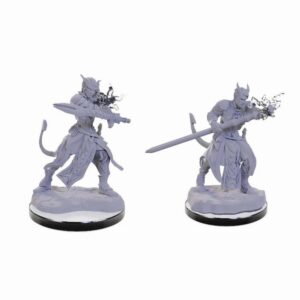 D&D Nolzur's Marvelous Μινιατούρες - 2x Tiefling Warlocks